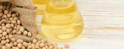 oilseeds-banner-760